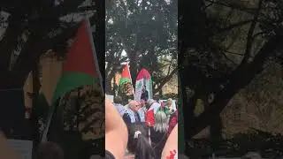 Jewish Council of Australia Speaks Up