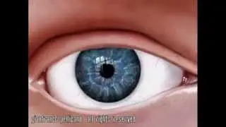 PHOTOSHOP : Realistic Eye