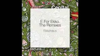 Ekkohaus - Dub Accent (Rafa Santos Remix) [CNTL013]