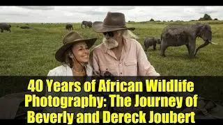 40 Years of African Wildlife Photography: The Journey of Beverly and Dereck Joubert
