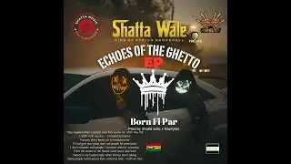 Shatta Wale - Born Fi Par _ Official Instrumental Remake