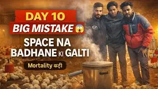 Poultry Farm Day 10 iviortality,Space Issue, Night Bhatti & Ground Reality