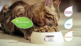 Purina Cat Chow&reg; Ukraine