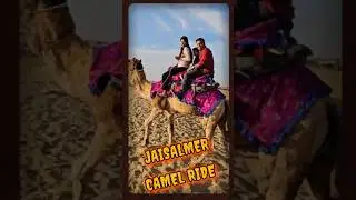 Camel Ride #shortvideo  #song  #youtubeshorts  #viral  #viralvideo  #viralshorts #ytshorts #shorts