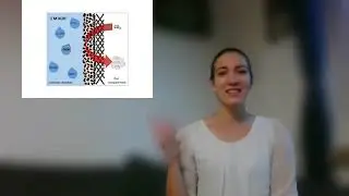 Science Slam 