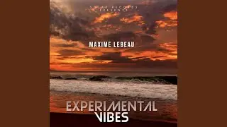 Exp&eacute;rimental Vibes