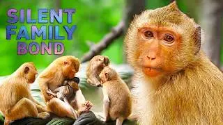 Hybrids RAINBOW & Pigtail AMANDA Bond with Newborn PATCHES | Pure Family Love