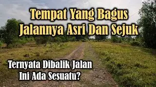 Di tempat Ini Ternyata Ada Perumahan!Lingkungannya Penuh Pohon Dan Asri Sejuk Tinggal Disini!