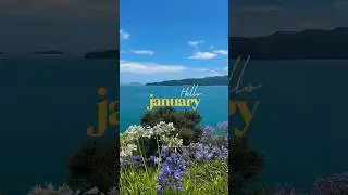 January Recap living in New Zealand. North Island Travel Couple