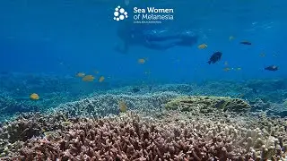 Sea Women of Melanesia - Emerging Climate Champions