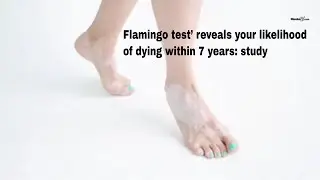 &lsquo;Flamingo test&rsquo; reveals your likelihood of dying within 7 years: study