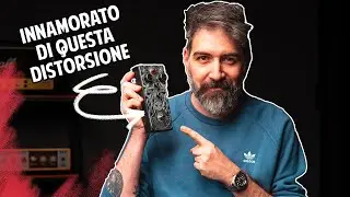 VOGLIO COMPRARLO, È GIÀ il MIGLIOR PEDALE del 2024 questo FUZZ?  | Beetronics Abelha