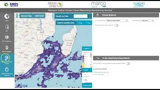 Western Indian Ocean Bleaching Monitoring Service Tutorial