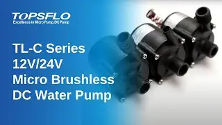 12V 24V Brushless Mini Brushless DC Water pump