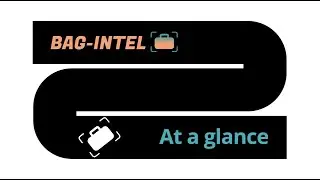 The BAG-INTEL project at a glance