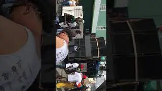 Wck live carnival Tuesday 2019