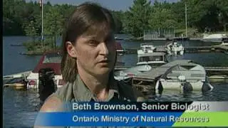 Invading Species Awareness PSA - Recreational Boaters and Anglers