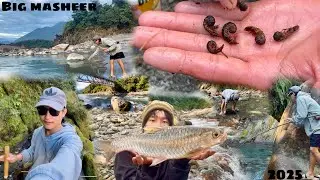 Catching golden masheer Using dobsonflies insect as bait / Winter bait/Siang river/Arunachal Pradesh