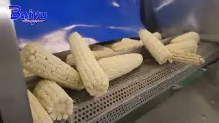 Corn Washing Drying Production Line, Corn Washing Drying Machine