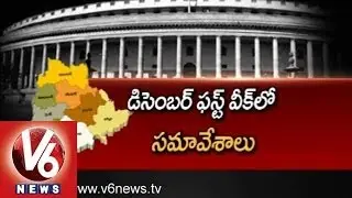 Telangana Bill - Parliament Winter Sessions