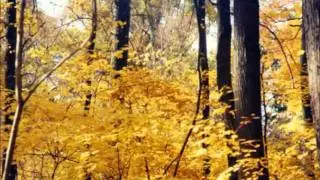 Bedford Reservation in Fall