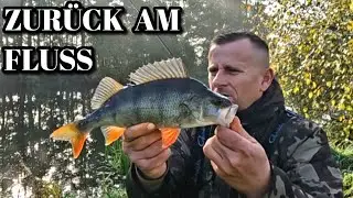 Abendessen am Fluss gesichert. Angeln auf Friedfisch und Raubfisch im Oktober 2025