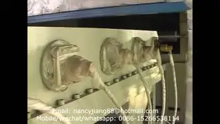 nancyjiang88@hotmail.com-XPE foam sheet extrusion line