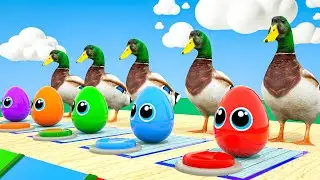 Old MacDonald Song - What Kind of Car is Inside the Egg?! - Road of Challenges - Baby Nursery Rhymes