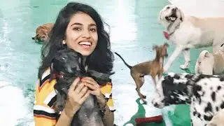 The Bark Club Mumbai - Inside South Mumbai's Premium Pet Day Care