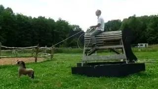 Stoffpferd einfangen mit Lasso auf lebensgro&szlig;en Schaukelpferd