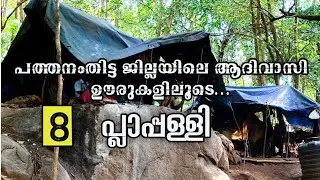 പത്തനംതിട്ട ജില്ലയിലെ ആദിവാസി ഊരുകളിലൂടെ: പ്ലാപ്പള്ളി ഉന്നതി||Tribal mission Pathanamthitta||adivasi