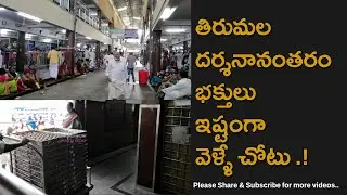 Tirumala Temple Laddu Prasadam Counter Inside Visuals