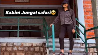 Kabini Jungle Safari with friends II दोस्तों के साथ काबिनी जंगल सफारी @manjula_dilse