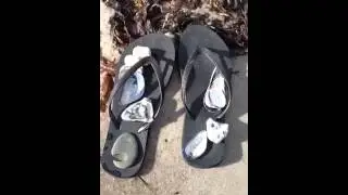 Myanne ved Lyngsb&aelig;k strand