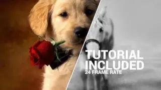 VIDEOMAKER STUDIO | Videomakerfx slides