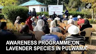 J&K: Awareness cum distribution programme on Lavender flowering species held in Pulwama