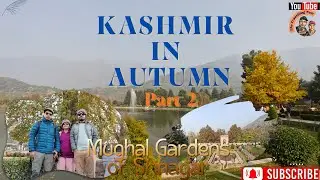 Kashmir in Autumn Part 2--Mughal Gardens