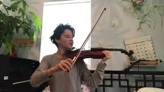 New Violin bow - purchased from NYC Violin Studio