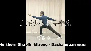 精武十套 大戰拳(上) Northern Shaolin Mizong - Dazhanquan shanlu