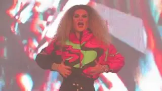 BUSHWIG 2018: Shiny Penny