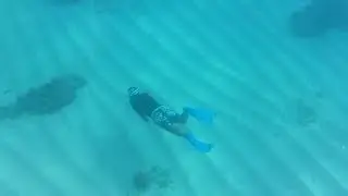 Hanauma Bay outer reef free dive