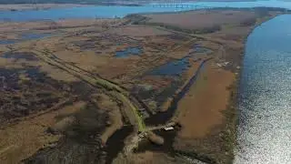 Pee Dee River Acreage | Hunting Property in Georgetown, SC | Land for Sale