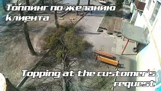 Ленивая обрезка деревьев A lazy cutting