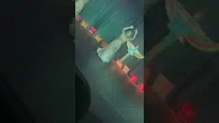Festa Árabe 2025!
