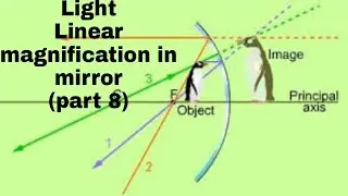 #class10#Light#Linearmagnification| Light Reflection and Refraction|part8|Linear magnification