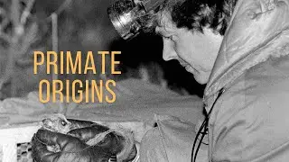 Robert D. Martin | Primate Origins, Brain Evolution, and Evolutionary Medicine