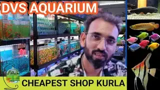 Dvs Aquarium Kurla Fish Market | Best collection Kurla Aquarium Fish Exotic and monster fish market