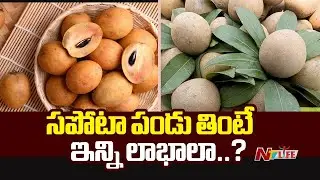 Sapota Fruit Benefits: సపోటా పండు తింటే ఇన్ని లాభాలా..? | NTV Life