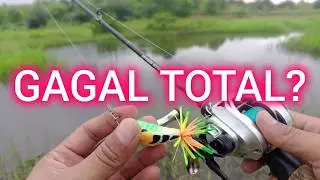 Umpan Jaws Geol Ratle ‼️ belum mampu menggoda Toman | Casting Toman #fishing #mancing