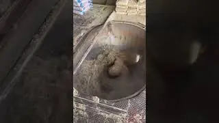 Making animal food in manufacturing